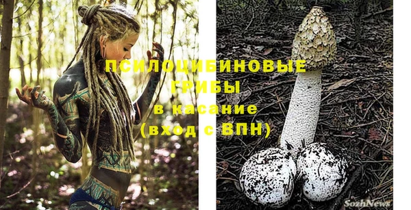 крисы Армянск
