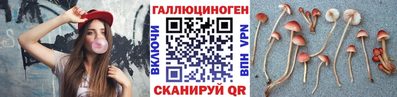 Псилоцибиновые грибы Psilocybe  Бологое 